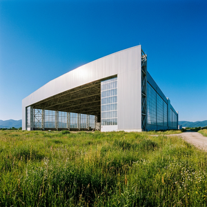 Entrepôt et atelier en structure métallique économique - Bâtiment en métal durable avec installation rapide pour le stockage des petites entreprises - Product Image 2