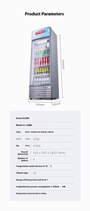 Réfrigérateur vertical à porte vitrée grande capacité pour boissons fraîches, idéal pour les magasins de détail et les dépanneurs - Product Image 5