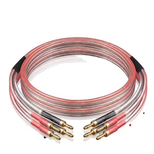 <span class=keywords><strong>Cable</strong></span> <span class=keywords><strong>de</strong></span> Audio para Altavoces Qingguan Fever Grado 6N, Recubierto <span class=keywords><strong>de</strong></span> Cobre y Plata, para <span class=keywords><strong>Amplificador</strong></span> <span class=keywords><strong>de</strong></span> Alta Fidelidad, Conexión <span class=keywords><strong>de</strong></span> Altavoces, HRX Engineering - Product Image 1