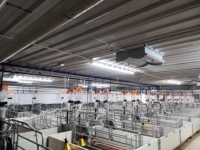 Lampes chauffantes Hontech-Wins pour porcherie / poulailler, ampoule infrarouge de haute qualité