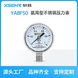 Manómetro de Amoníaco de Acero Inoxidable Suzhou Xiansheng Ya50, 0-1.0Mpa, Conexión Roscada, Precisión Nivel 2.5 - Product Image 3