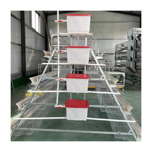 Uygun fiyat kümes hayvanları tarım ekipmanı A tipi katman tavuk kafesi 2000 kuş için otomatik sistemli - Product Image 2