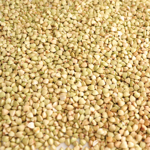 Chất lượng cao nóng bán Buck lúa mì rang ngọt ngào nguyên Kiều Mạch hạt - Product Image 5