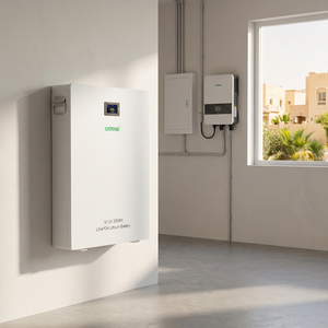 Batería CKMINE de 10 kWh, 51.2 V, 200 Ah, Montada en Pared, Celdas de Nivel 1, MSDS UN38.3, para Sistema de Almacenamiento de Energía Solar Doméstico - Product Image 1