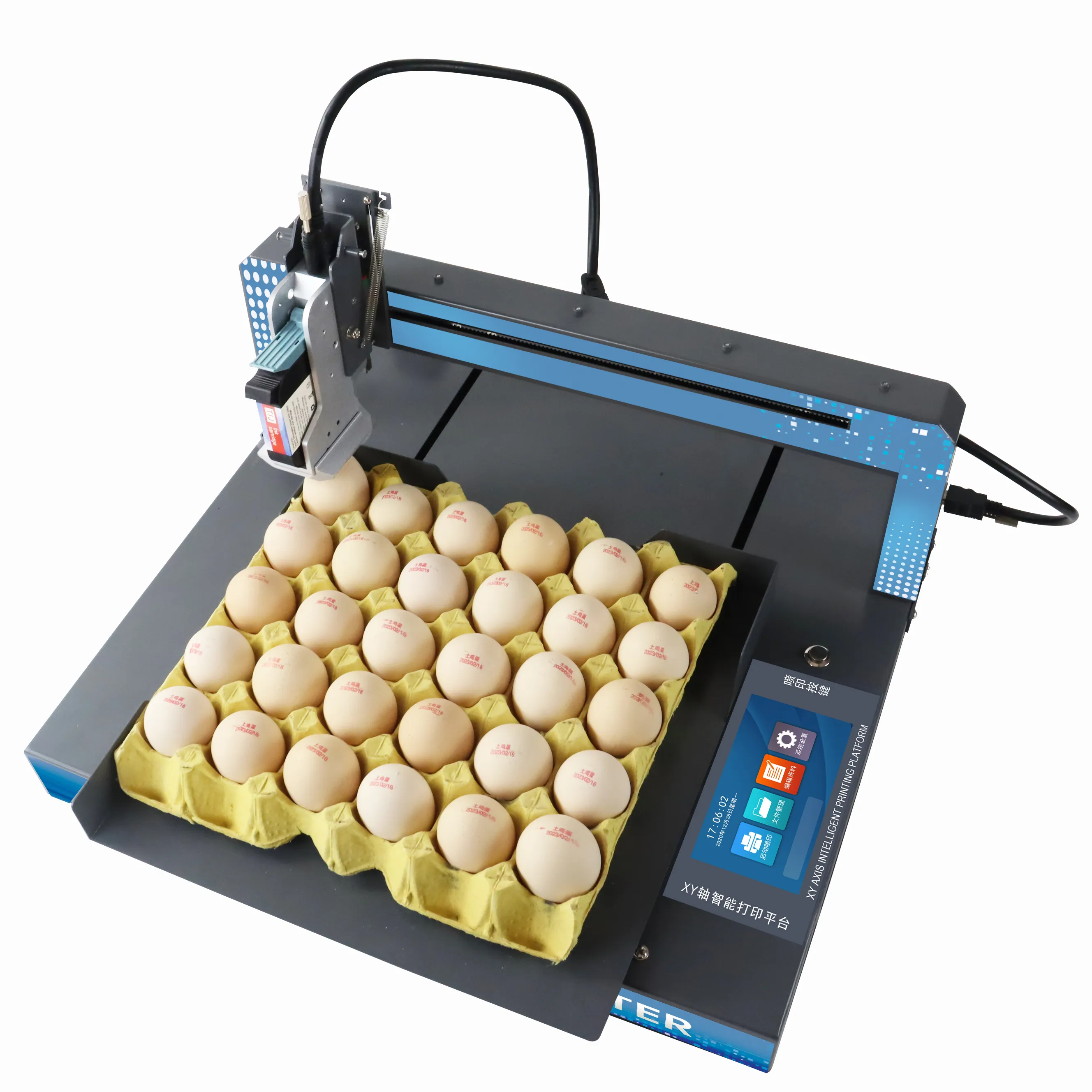 XY110 otomatik yumurta kodlama makinesi tüm plaka baskı üretim tarihi seri numarası TIJ yumurta yazıcı mürekkebi