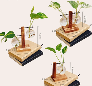 <span class=keywords><strong>Vaso</strong></span> di propagazione delle <span class=keywords><strong>piante</strong></span> giardinaggio fioriera Set idroponico pianta d'<span class=keywords><strong>appartamento</strong></span> Stand unico <span class=keywords><strong>vaso</strong></span> - Product Image 5