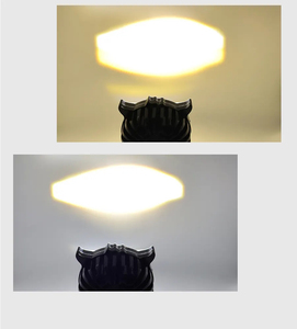 Nouveau phare modifié pour véhicule électrique de <span class=keywords><strong>moto</strong></span> Jieshengguang, 20W, phare double couleur, projecteur intégré, faisceaux haut/bas pour AC - Product Image 2