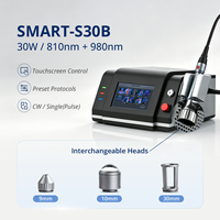 Yüksek Güçlü 810nm 980nm Lazer Terapi Cihazı Sınıf 4 Fizyoterapi İçin Lazer Terapisi 10W 20W 30W Hayvan İyileşmesi İçin