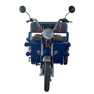 Tricycle électrique de 800W 60V pour adultes Tricycle à cargaison ouverte Batterie au plomb et au lithium Scooter de mobilité certifié CEE/DOT - Product Image 2