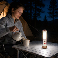Lampe torche LED rechargeable portable Type-C, 5 modes, lampe de poche avec lumière latérale pour le camping, la maison et les situations d'urgence
