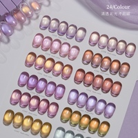 ZRKGEL Best Seller Ladai Aurora Cat Eye Gel Polish Kit 24 Teintes Fournisseurs de Produits pour Ongles Haute Pigmentation avec Collection de Gels UV Magnétiques