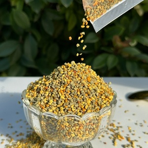 Polen de Abeja Mixto 100% Natural y Orgánico - Polen de Múltiples Fuentes Florales de Alta Nutrición para Suplemento Alimenticio de Grado Alimenticio - Product Image 4