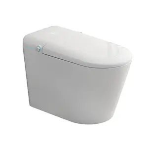 Banheiro One Piece Comfort Height Automatic Toilet Smart Toilet Lid Com Hot Bidé Pulverizador