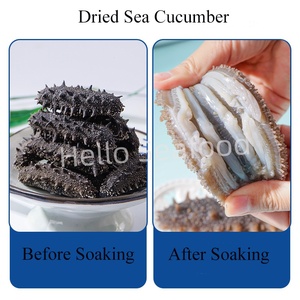 Pepino de Mar Seco Empacado a Granel Listo para Exportar con Alta Calidad - Product Image 6