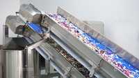 Fengxiang merk 304 roestvrijstalen verse salade verwerkingslijn 5000kg/u automatische groente- en fruitwas- en schilmachine
