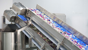 Ligne de traitement de salades fraîches 5000 kg/h, machine automatique de lavage, d'épluchage, de découpe et d'emballage de légumes et de fruits, pour usage en usine alimentaire - Product Image 3