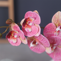 Sampel Gratis Siap Kirim Grosir Murah 7 Tangkai Bunga Anggrek Phalaenopsis Lateks dengan Batang Panjang untuk Dekorasi Pernikahan dan Rumah