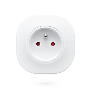 Fabrik preis 16A Tuya Worldwide Standard WiFi <span class=keywords><strong>Smart</strong></span> <span class=keywords><strong>Socket</strong></span> Arbeiten mit Alexa/Google Assistance PST-LSPA10 - Product Image 1