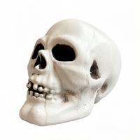Nouvelles décorations réutilisables en PVC en forme de tête de squelette d'horreur pour Halloween 2026, idéales pour les fêtes, festivals, remises de diplômes et Thanksgiving