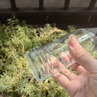 Bouteille de tabasco en verre personnalisée 3 oz bouteilles Woozy de sauce piquante en verre transparent avec bouchons en plastique PP rouge fabricant de verre