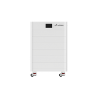 Rayworld Promotion Exceptionnelle Système de Stockage d'Énergie Solaire Tout-en-un 80 kWh Lithium 256V 314Ah LiFePO4 IP65 pour Usage Industriel