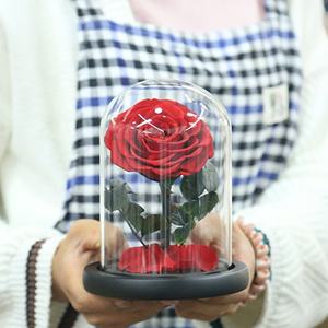 Idées de cadeaux de Noël de taille XS Retour d'affaires Fleurs et plantes décoratives de roses stabilisées conservées - Product Image 1