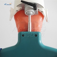 Modelo Dental de Torso Senior, Maniquí de Entrenamiento, Simulación de Fantasma, Modelo Anatómico, Dientes Humanos, Modelo de Ciencia Médica, Ecológico