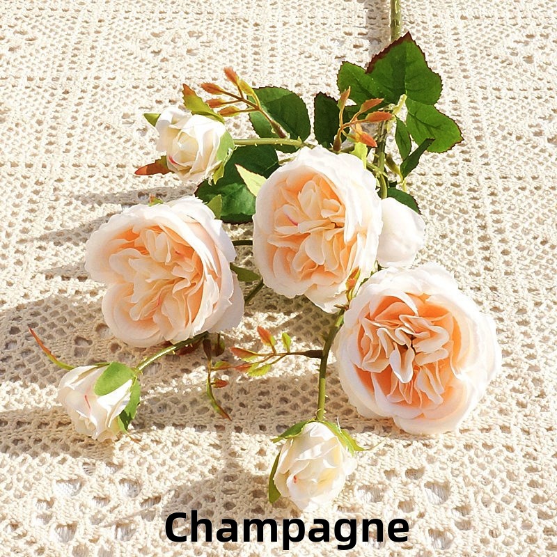 Champagne