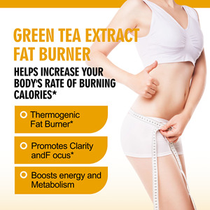 Cápsulas de Extracto de Té Verde de Alta Calidad para Quemar Grasa, Promueve la Claridad y la Concentración, Aumenta la Energía y el Metabolismo - Product Image 3