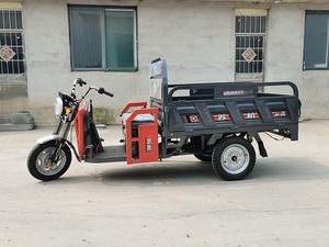 Triciclo Eléctrico Motocicleta de Tres Ruedas para Adultos 1000 W Vehículo de Transporte de Carga Eléctrico Triciclos de 1000W con Cama Volquete - Product Image 5