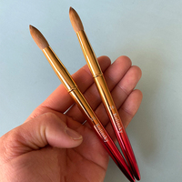 Pinceaux à ongles en poils de sable duveteux de couleur dégradée taille 16 pour la poudre acrylique, la construction d'ongles, les pinceaux pour l'art des ongles