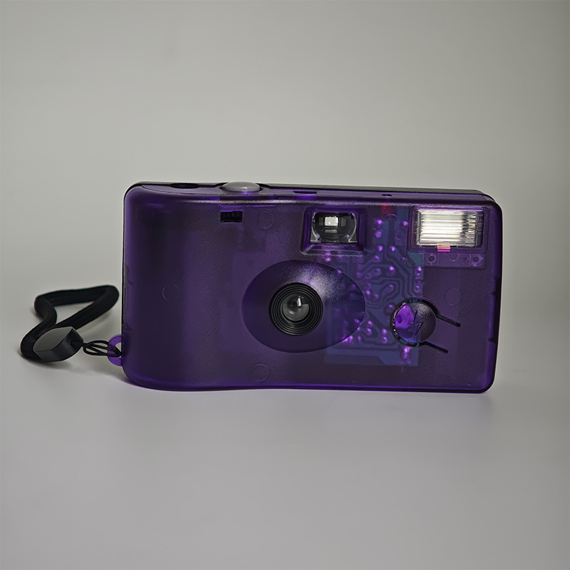 Violet givré transparent