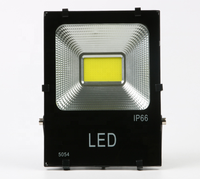 DC12V 24V 220V 110V Étanche IP65 5054 Type Led Projecteur Lampe 50w 100w 150w 200w Led Projecteur Extérieur COB Projecteur