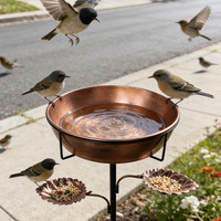 Mangeoire et abreuvoir pour oiseaux en fer, autoportants, pour l'extérieur, avec bols amovibles en forme de feuille, diamètre 30 cm, design moderne et minimaliste pour le jardin