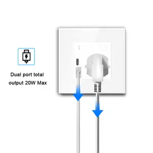 Hign Quality Universal Standard TUYA WIFI Smart Socket with USB and TYPE C port .