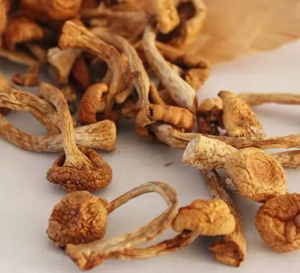 Funghi Nameko - Product Image 2
