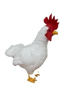 Venta al por mayor peludo realista <span class=keywords><strong>pollo</strong></span> blanco juguetes de peluche animales de peluche regalos para niños - Product Image 2