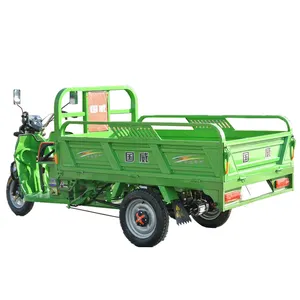 1000W 1200w triciclo elettrico per il carico adulti a tre ruote per uso agricolo triciclo cargoo per la vendita