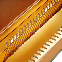Livre et Cassette à couverture rigide personnalisés Doublure magnétique en carton à aspiration Impression UV Processus de bronzage Café Thé Boîtes d'emballage en papier