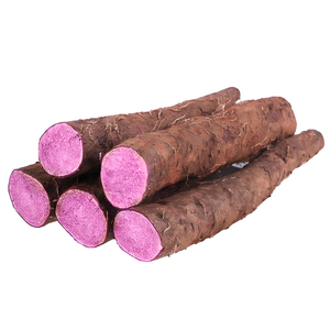 Cấp thực phẩm hữu cơ Philippines ube bột ube chiết xuất Hot Bán OEM/ODM Tím Yam bột tinh khiết với giá tốt nhất - Product Image 3