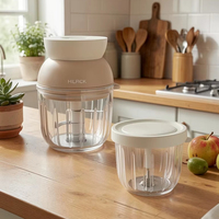 Fruit- en groentetool 300ml Mini Elektrische USB Oplaadbare Huisgemaakte Baby Puree Mixer met 2 Glazen Schaaltjes