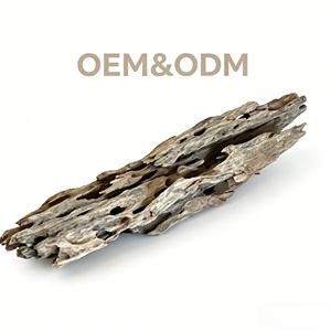 Bois flotté naturel perforé pour décor d'aquarium, idéal pour crevettes, bettas, crabes ermites et poissons guppies - Product Image 1