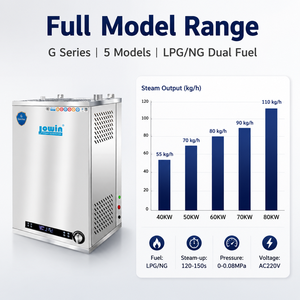 Générateur de vapeur chauffante JOWIN 40-80KW 220V 230V 240V 280V 125kg/h Chaudière de chauffage au <span class=keywords><strong>gaz</strong></span> GPL commerciale <span class=keywords><strong>pour</strong></span> immeuble de bureaux - Product Image 5