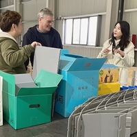 Fabrieks prijs op maat gemaakte plastic fruittransportbox vochtbestendige PP gegolfde plastic opbergbox