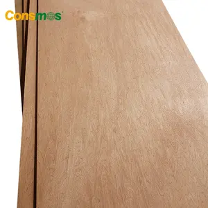 15mm Pine Plywood 12mm 15mm 18mm Bintangor EV Poplar Pine Birch Commercial Plywood For Furniture