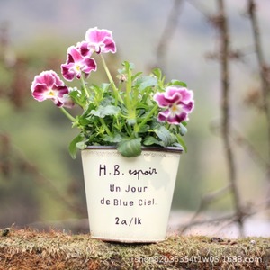 Vaso per <span class=keywords><strong>Piante</strong></span> Grasse in Ferro Battuto, Fioriera <span class=keywords><strong>da</strong></span> Parete per Esterni, Cortile, Terrazza, <span class=keywords><strong>Balcone</strong></span> - Product Image 3