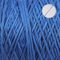Prix d'usine Vente en gros Twist Polyester Yarn Rope DTY 300D pour le tricotage et le tissage