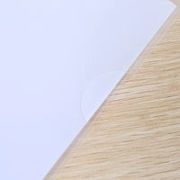 Clip Transparente de Plástico con Varilla de Sujeción para Carpetas de Negocios A4, Modelo Q310, Impreso, Hecho en China