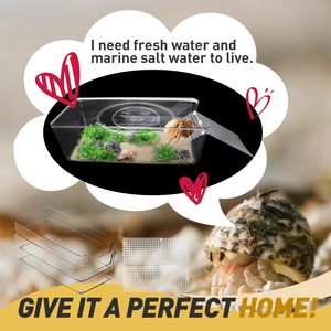 <span class=keywords><strong>Reptile</strong></span> Habitat Gecko Enclos Ermite Crabe Terrarium Tortue D'eau Réservoir Réservoir En Plastique pour <span class=keywords><strong>Reptile</strong></span> - Product Image 4