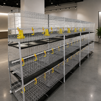 Cage d'élevage de poulets / Grillage soudé pour poulailler à vendre